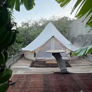 hotel-yurt-in-avocado-garden.in-canary-islands.com/